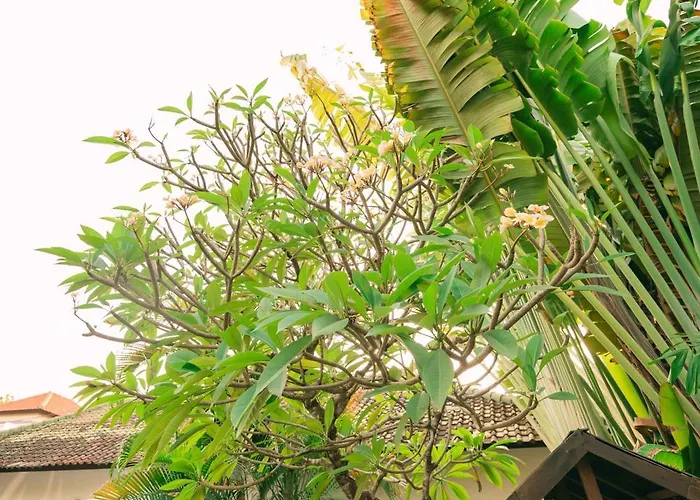 Amazing 2 Bedroom 5 Min To The - Durna
